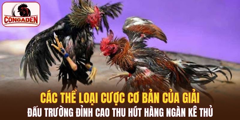 Các thể loại cược cơ bản của giải