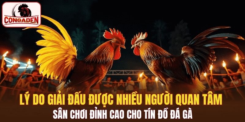 Lý do giải đấu được nhiều người quan tâm