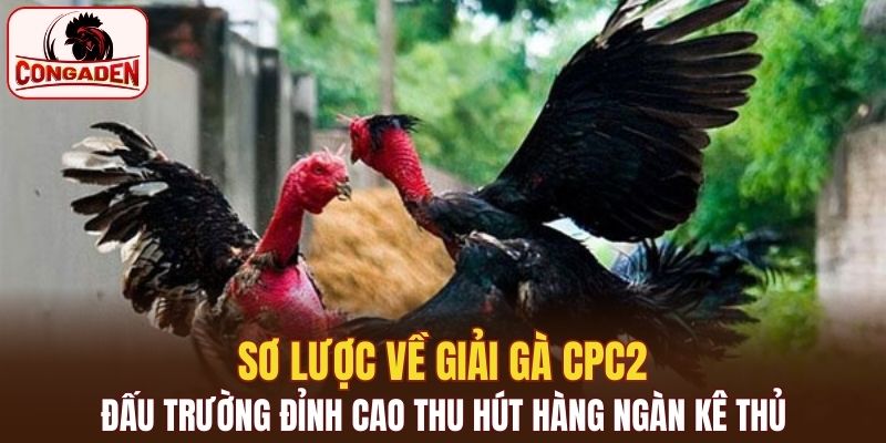 Sơ lược về giải gà CPC2