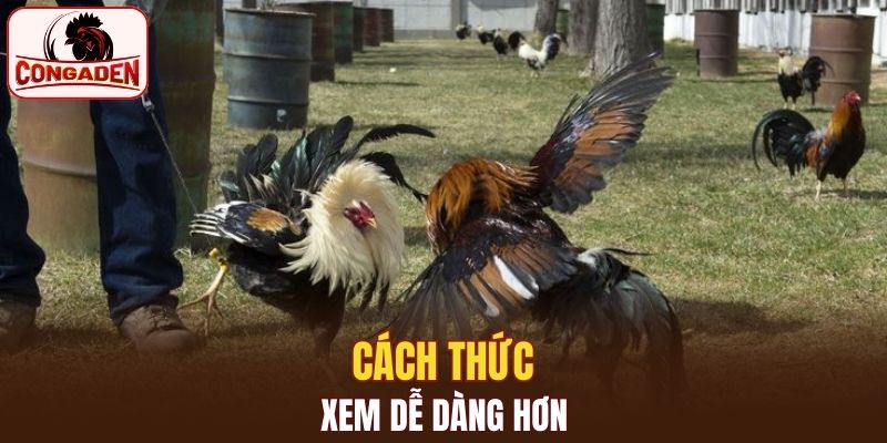 Cách thức xem dễ dàng hơn
