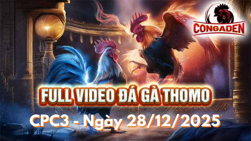 Video đá gà CPC3 Ngày 28-12-2025