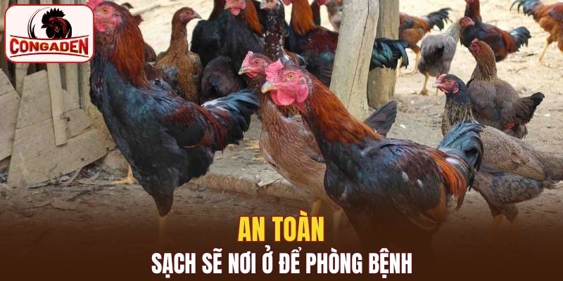 Đảm bảo vệ sinh và cách phòng bệnh