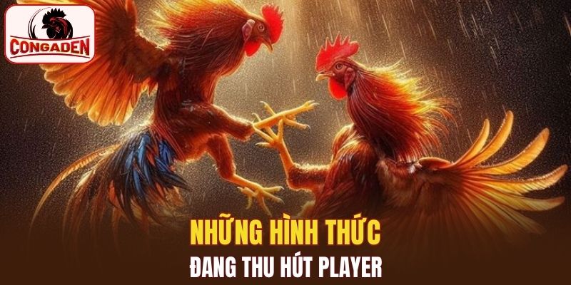 Những hình thức đang thu hút player