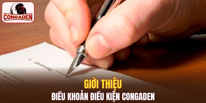 Giới thiệu điều khoản điều kiện Congaden