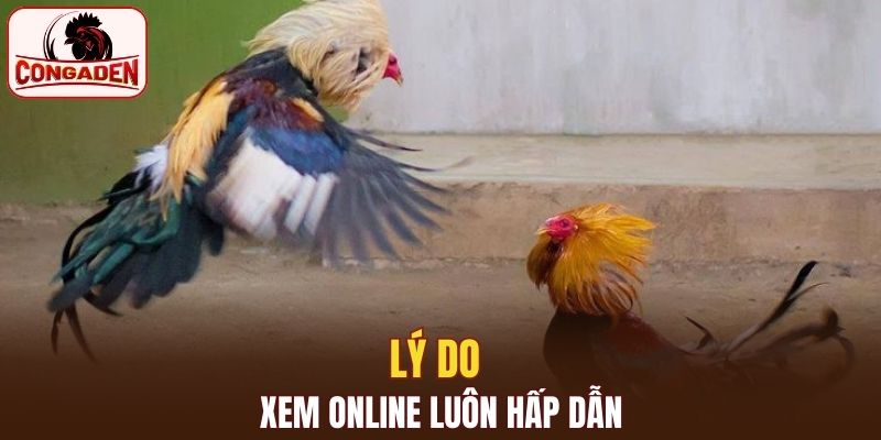 Lý do xem online luôn hấp dẫn