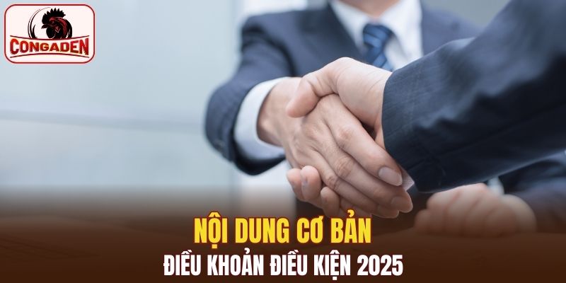 Nội dung cơ bản điều khoản điều kiện 2025