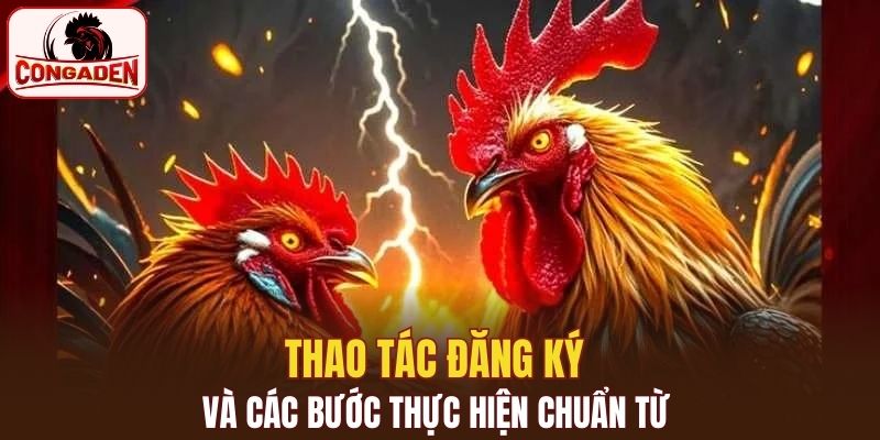 Thao tác đăng ký và các bước thực hiện chuẩn từ trang