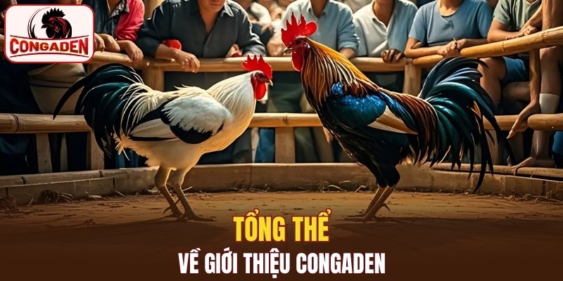 Tổng thể về giới thiệu Congaden