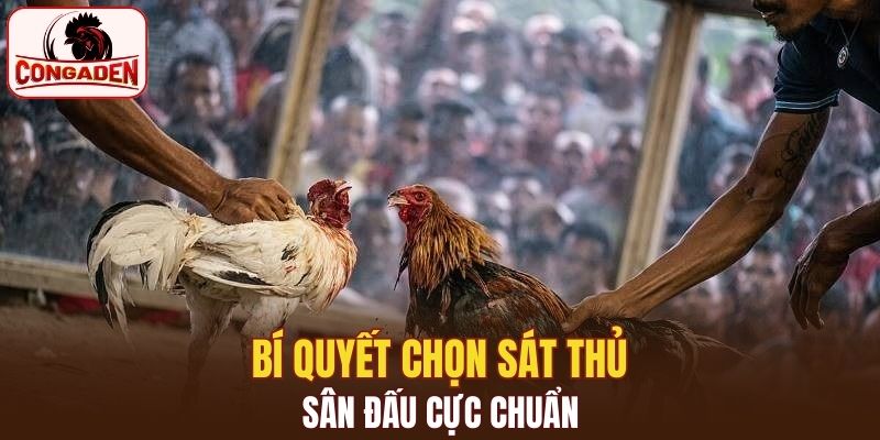 Tuyệt chiêu lựa chọn sát thủ cực hay