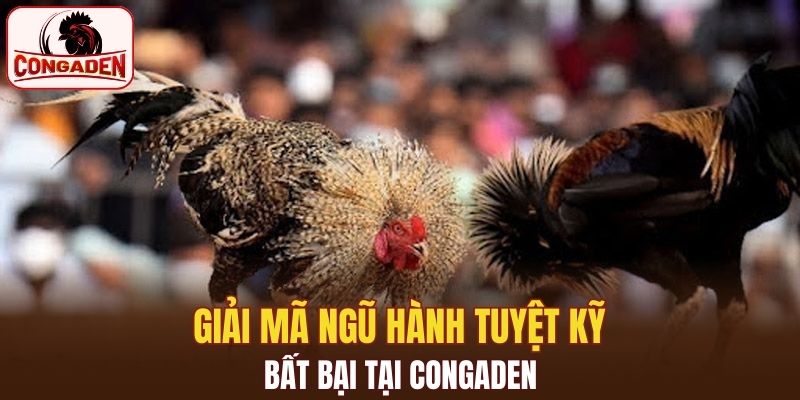 Tuyệt kỹ đọc mạng không đối thủ