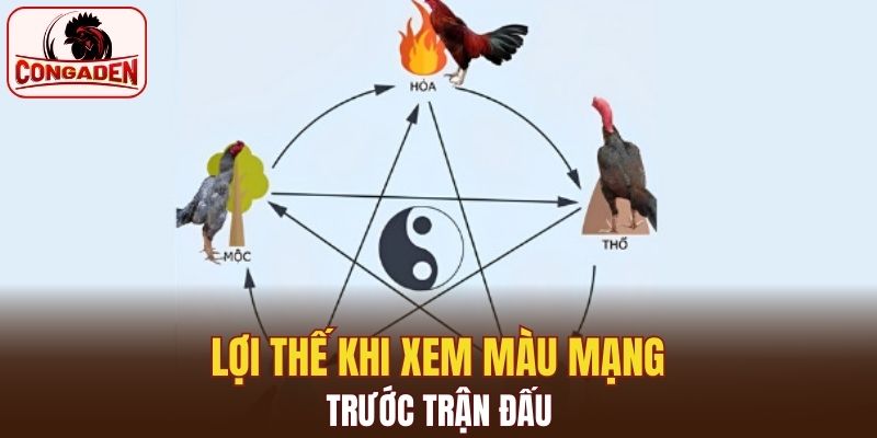 Ưu thế khi xem màu mạng để nắm phần thắng